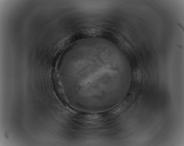 X0000093100757200709261230