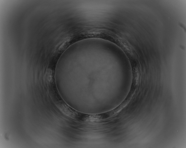 X0000093100758200709261230