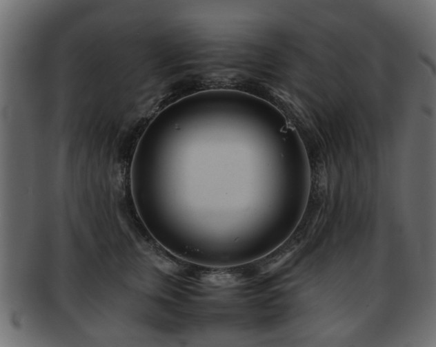 X0000093100759200709261230