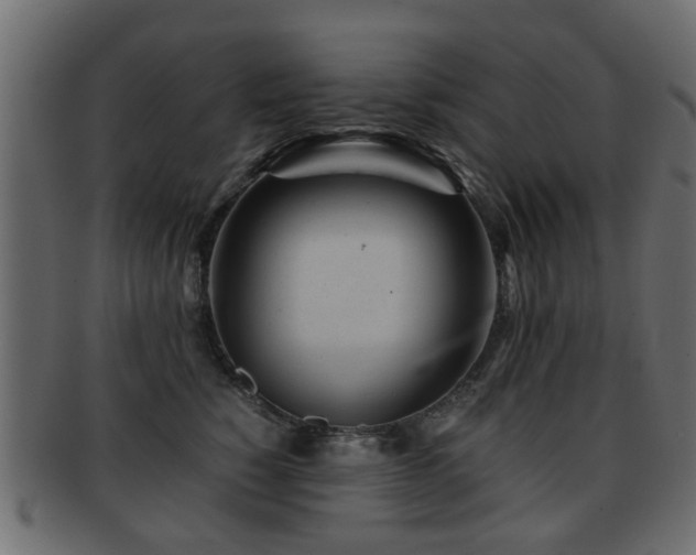 X0000093100760200709261230