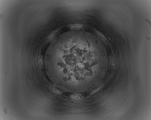 X0000093100761200709261230