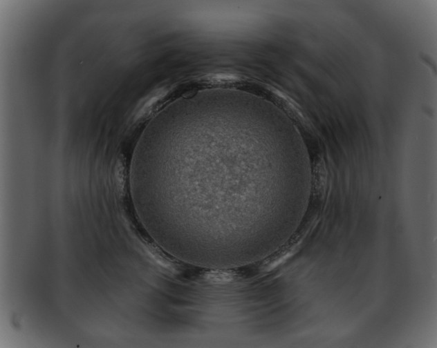 X0000093100762200709261230
