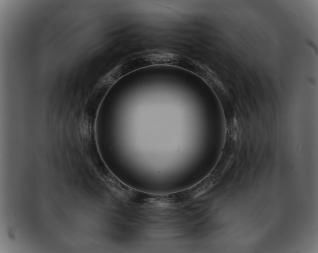 X0000093100763200709261230