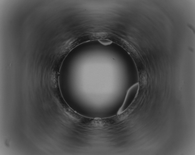 X0000093100764200709261230