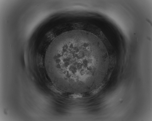 X0000093100765200709261230