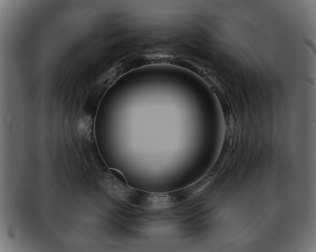 X0000093100767200709261230