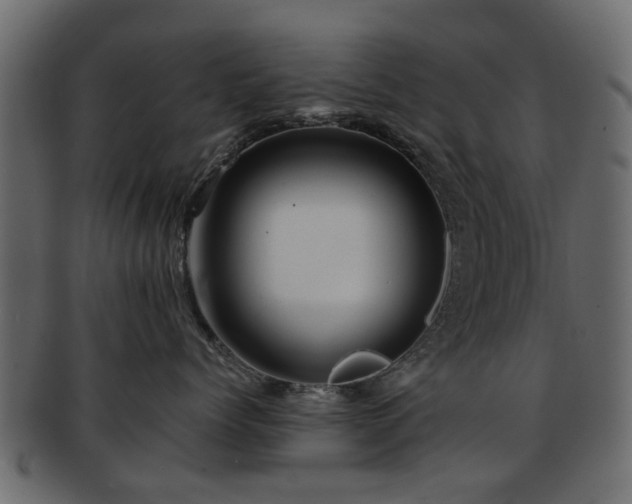 X0000093100768200709261230