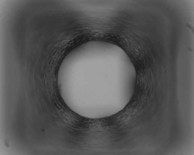 X0000093100769200709261230