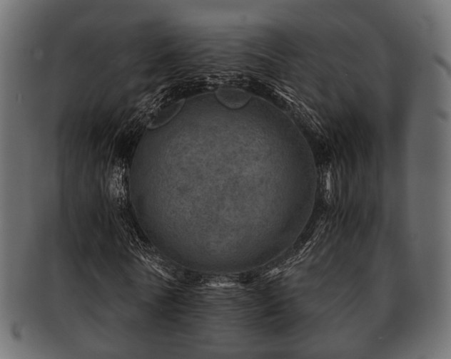 X0000093100770200709261230