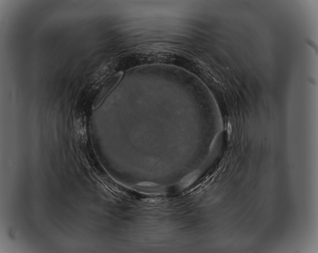 X0000093100771200709261230