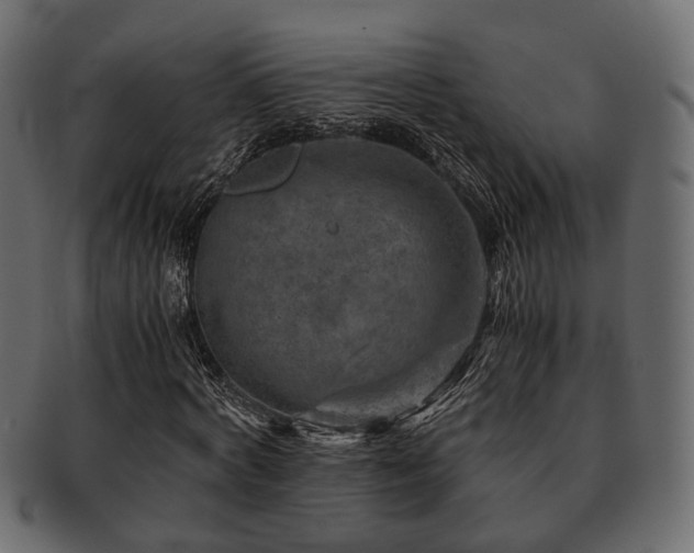 X0000093100772200709261230