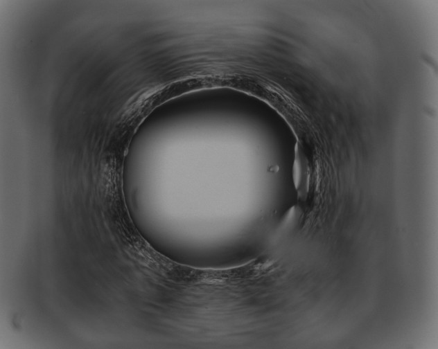 X0000093100773200709261230