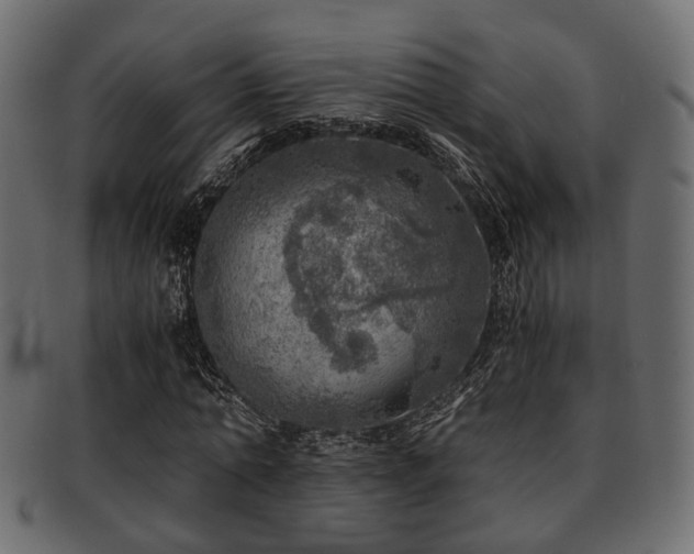 X0000093100774200709261230