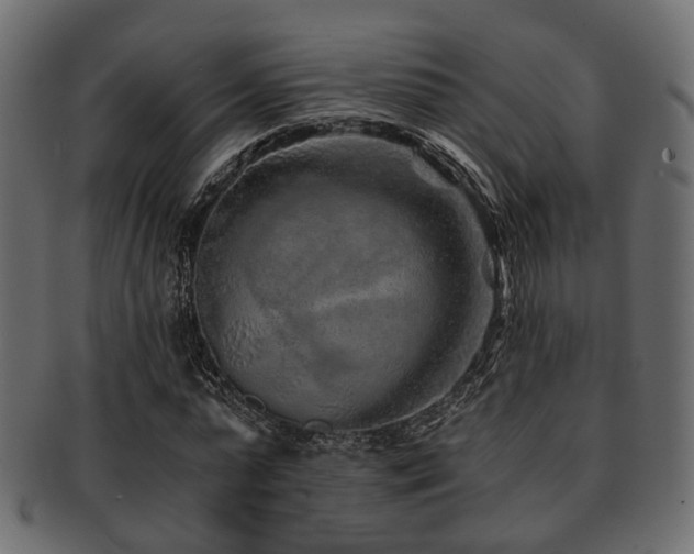 X0000093100775200709261230