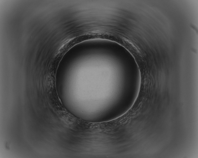 X0000093100776200709261230