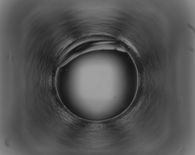 X0000093100777200709261230