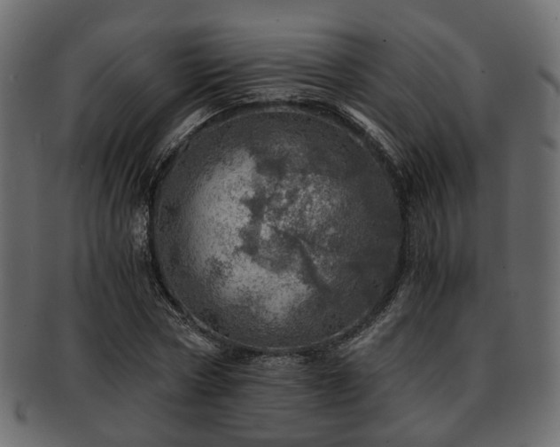 X0000093100778200709261230