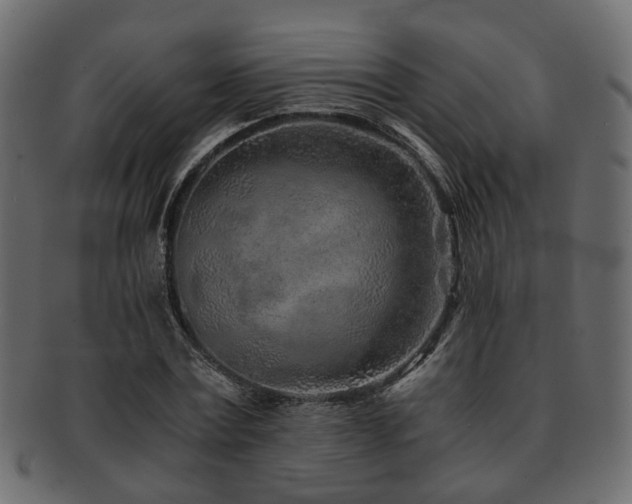 X0000093100779200709261229