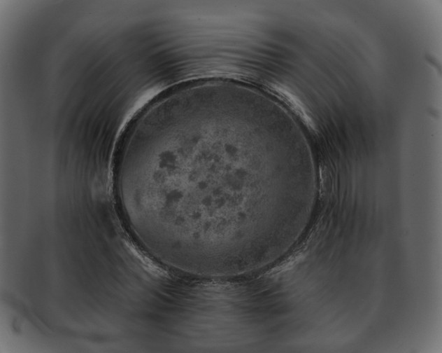 X0000093100780200709261229