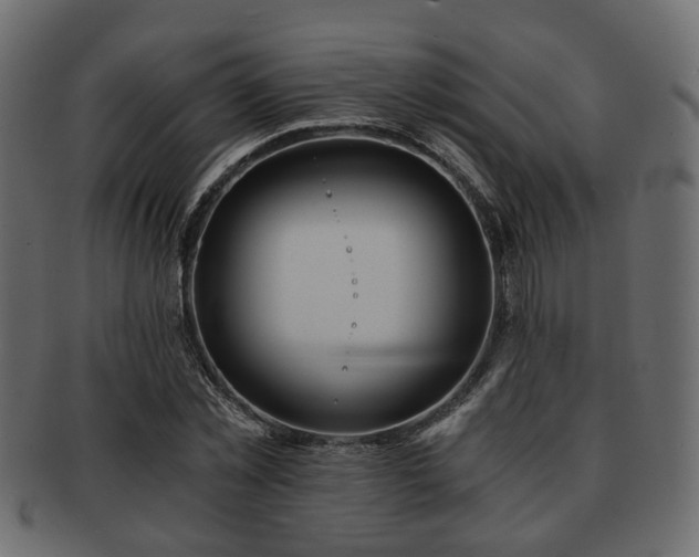 X0000093100781200709261229