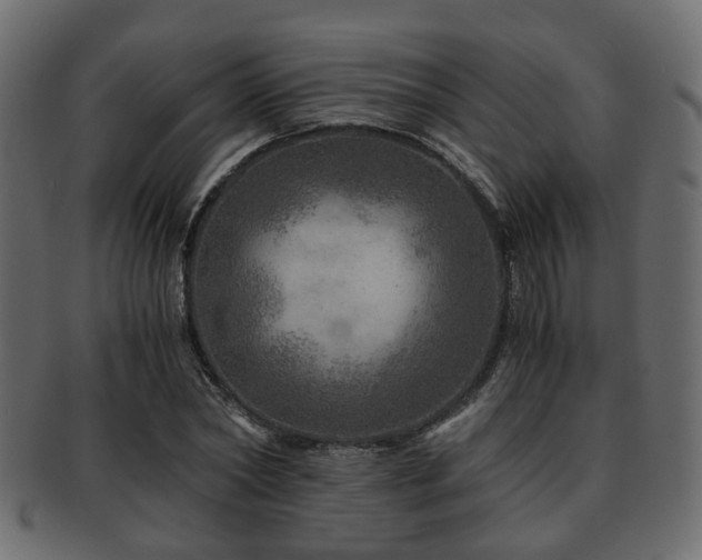 X0000093100782200709261229