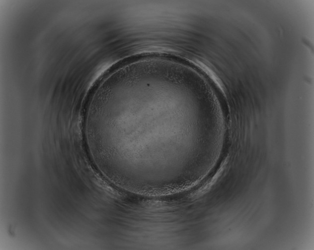 X0000093100783200709261229