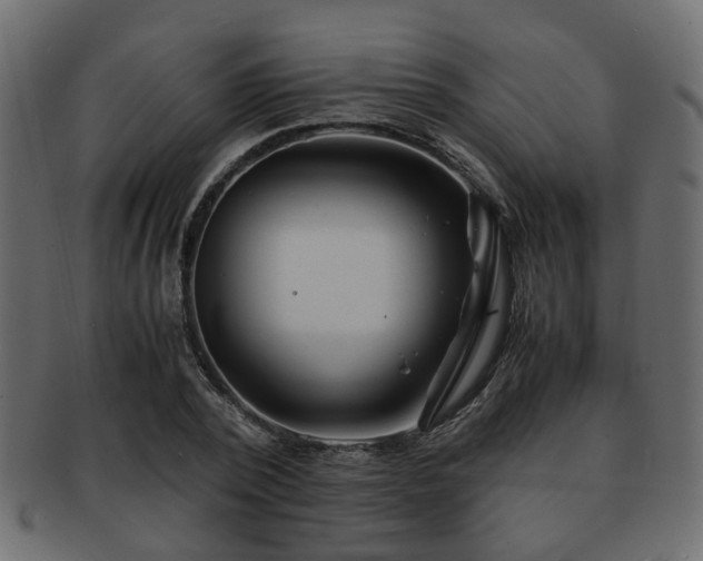 X0000093100784200709261229