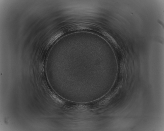 X0000093100785200709261229