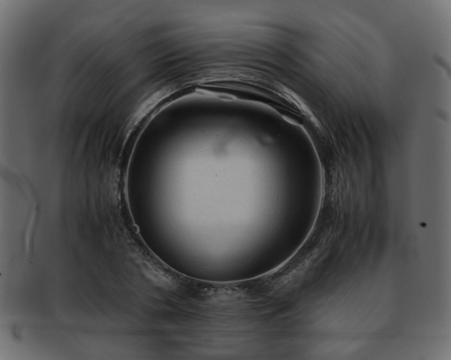 X0000093100786200709261229
