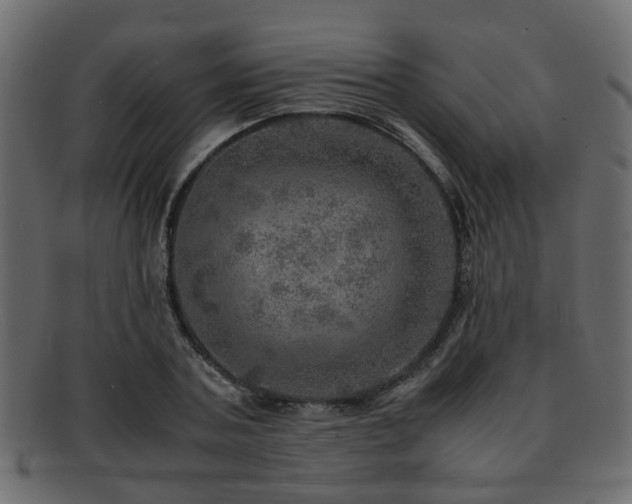 X0000093100787200709261229
