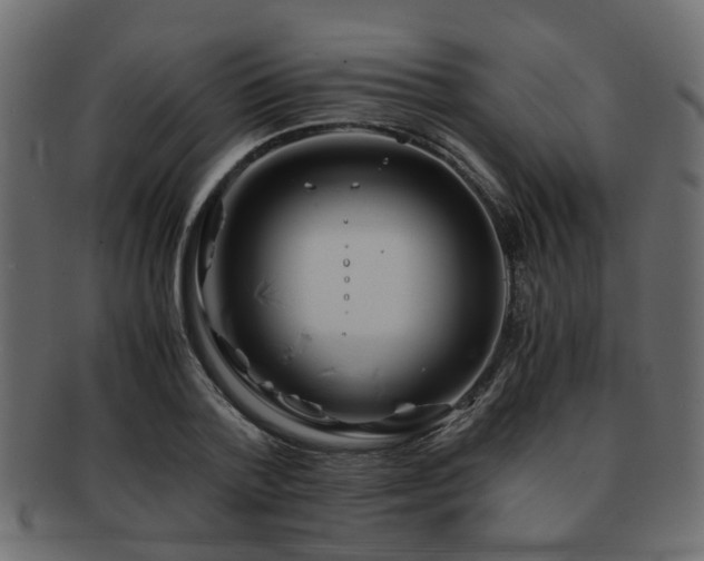 X0000093100788200709261229
