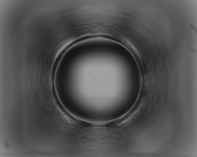 X0000093100789200709261229