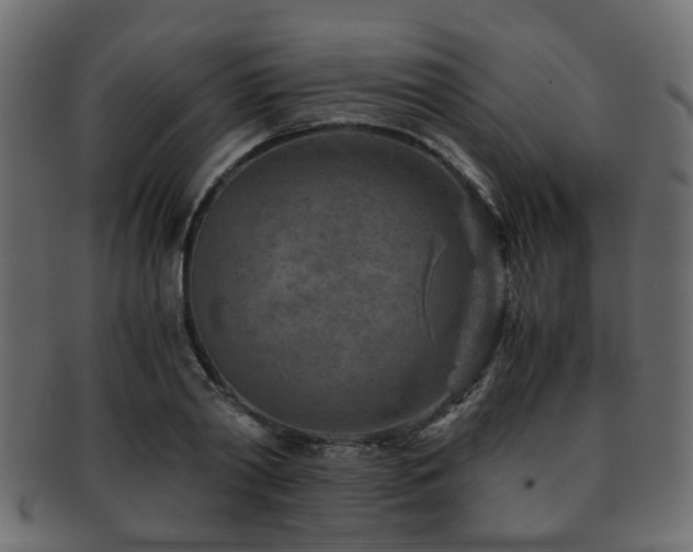 X0000093100790200709261229