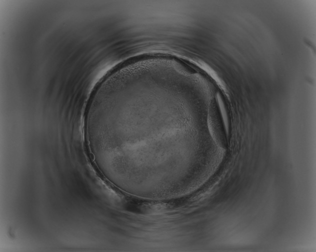 X0000093100791200709261229