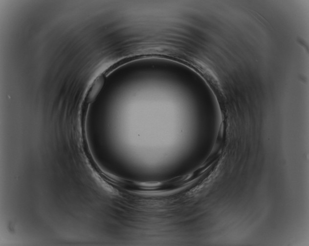 X0000093100792200709261229