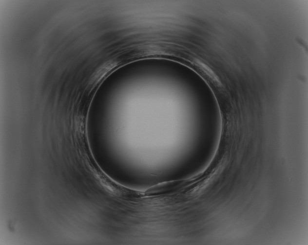 X0000093100793200709261229