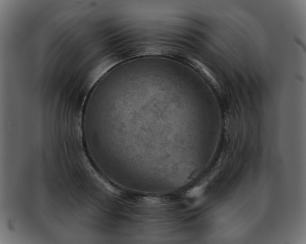 X0000093100794200709261229