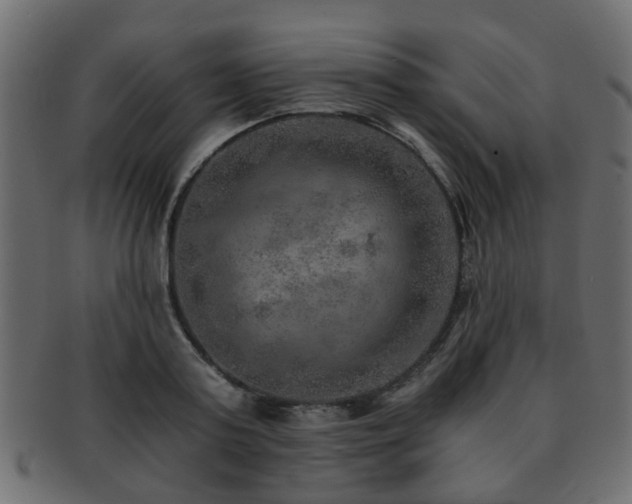 X0000093100795200709261229