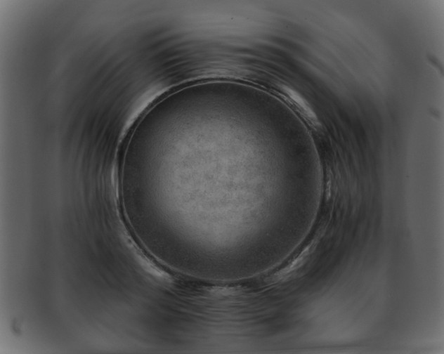 X0000093100796200709261229