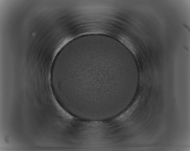 X0000093100797200709261229