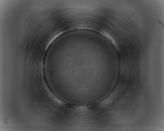 X0000093100798200709261229