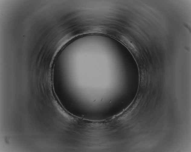 X0000093100800200709261229