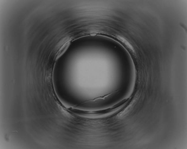 X0000093100801200709261229