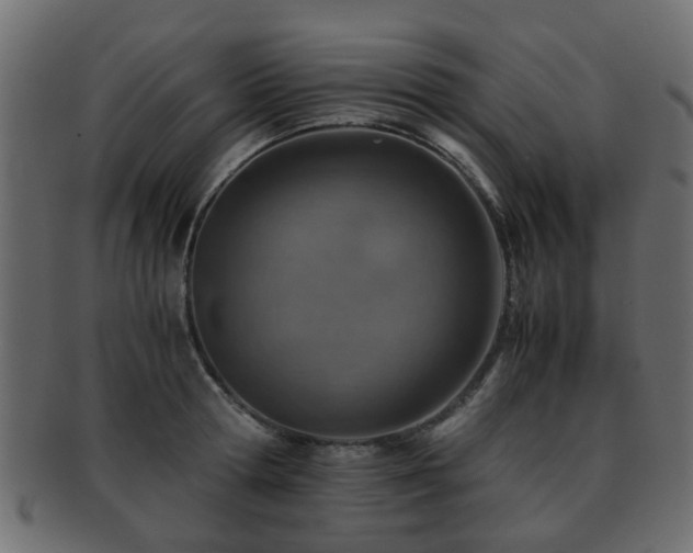 X0000093100802200709261229