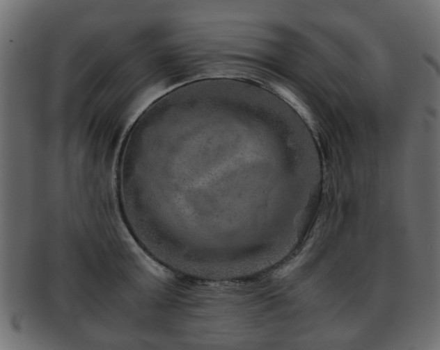 X0000093100803200709261229