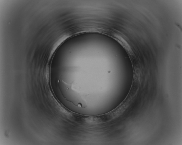 X0000093100804200709261229