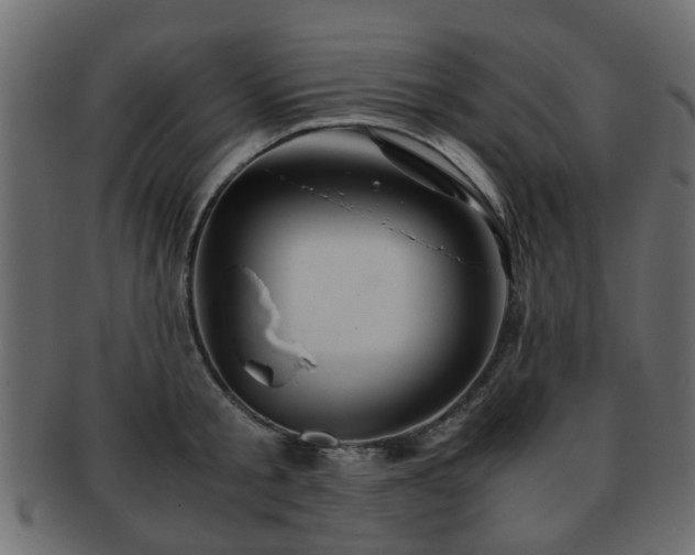 X0000093100805200709261229