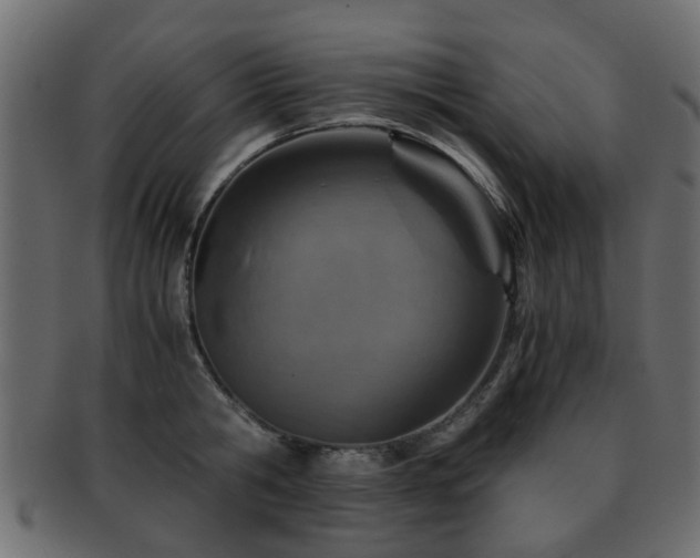 X0000093100806200709261229