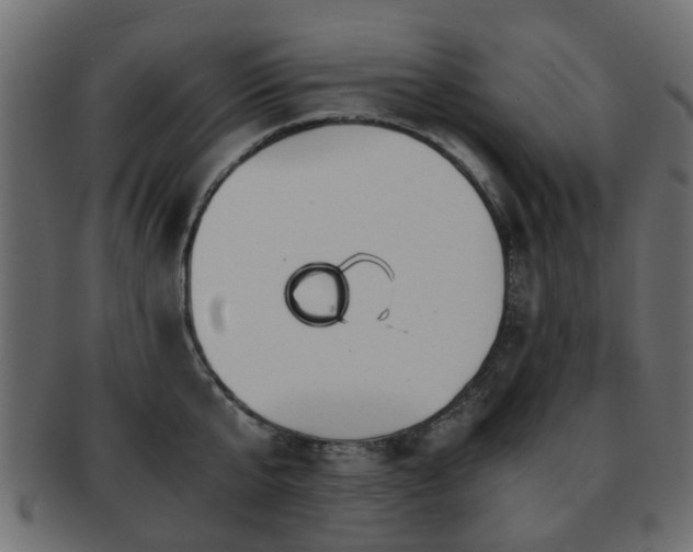 X0000093100807200709261229