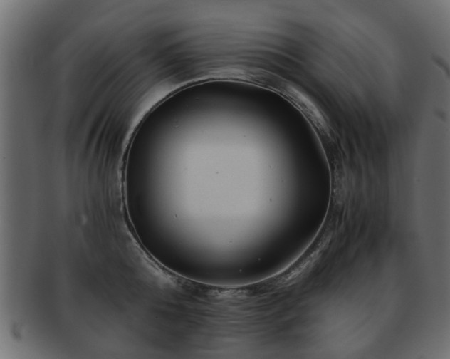 X0000093100808200709261229